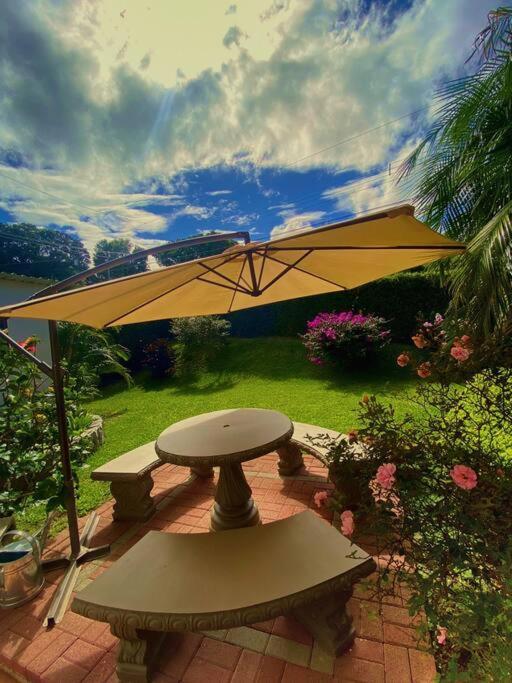Peace Garden Apartment Monteverde Ngoại thất bức ảnh